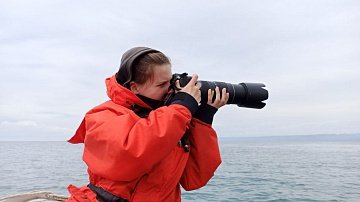 На Камчатке места скопления серых китов в бухте Ольга нанесут на карты 0