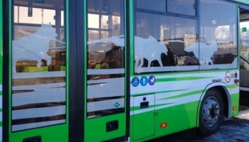 Городской автобус довезет до «Елизовской осени» на Камчатке Городской автобус довезет до «Елизовской осени» на Камчатке