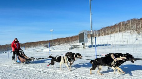 Старт многодневной гонке на собачьих упряжках &laquo;Берингия.Авача &ndash;2026&raquo; дан на Камчатке 5