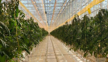 Прием заявок в Студенческий акселератор начался в Камчатском крае