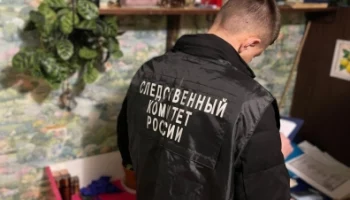 Градус зашкалил: жительницу Камчатки обвиняют в убийстве Градус зашкалил: жительницу Камчатки обвиняют в убийстве