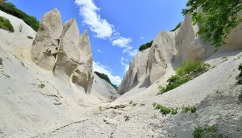 О редких природных достопримечательностях региона рассказали в Кроноцком заповеднике на Камчатке О редких природных достопримечательностях региона рассказали в Кроноцком заповеднике на Камчатке