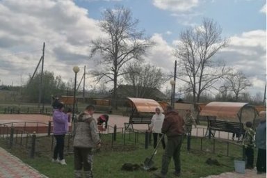 Камчатцев приглашают принять участие в акции «Сад Памяти» 4