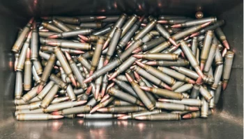 Уголовное дело о незаконном обороте боеприпасов возбуждено в Елизовском районе Камчатки