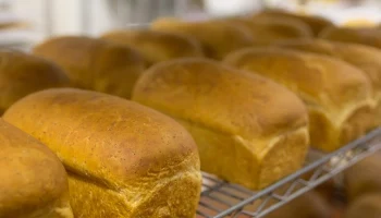 В школьной столовой на Севере Камчатке будут выпекать хлеб для населения на новой мини-пекарне
