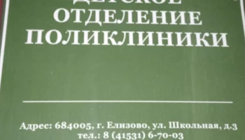 Минздрав ответил обеспокоенным изменением работы амбулатории жителям Елизова на Камчатке