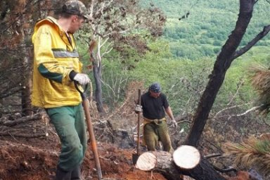 Сложный лесной пожар ликвидировали на Камчатке 1