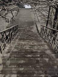 Работы по расчистке города проходят в плановом режиме в столице Камчатки 1