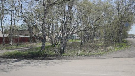 Облик парка на улице Магистральной определяют жители Елизово на Камчатке 2