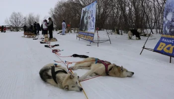 35-летие со дня проведения первой гонки «Берингия» отметят на Камчатке