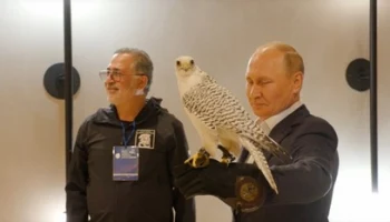 Владимир Путин встретился с коллективом соколиного центра «Камчатка»