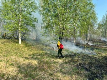 Успешно ликвидирован лесной пожар в Мильковском лесничестве на Камчатке 2