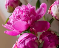 Юбилеи празднуют сегодня шесть районов Камчатского края Юбилеи празднуют сегодня шесть районов Камчатского края