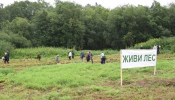 Экологическая акция «Сохраним лес» запущена на Камчатке Экологическая акция «Сохраним лес» запущена на Камчатке