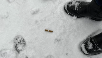 По улице шел-шел и запрещенку нашел житель Петропавловска-Камчатского