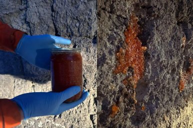 Красная икра помогла реставрировать историческое панно в Паратунке на Камчатке 0