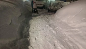 Автомобиль насмерть сбил 14-летнюю девочку, упавшую на скользкой дороге в Петропавловске-Камчатском