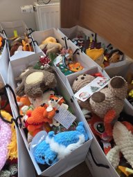 Более 900 человек поучаствовали в акции &laquo;Заповедный друг &ndash; 2025&raquo; на Камчатке 3