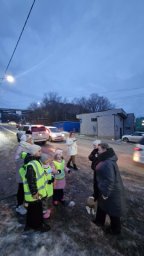 В проекте по повышению безопасности дорожного движения приняли участие дети Камчатки 1