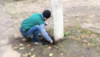 Наркокурьер, организовавший тайники в лесу, задержан в Петропавловске-Камчатском Наркокурьер, организовавший тайники в лесу, задержан в Петропавловске-Камчатском