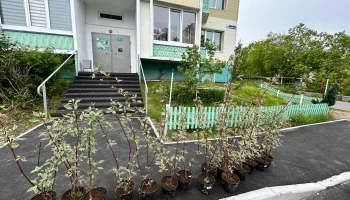 Проект благоустройства девяти дворов по федеральной программе реализуют в Петропавловске-Камчатском Проект благоустройства девяти дворов по федеральной программе реализуют в Петропавловске-Камчатском