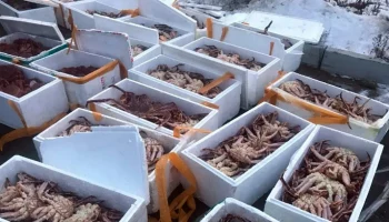 2 000 рублей штрафа заплатит водитель, помешавший пограничникам задержать браконьеров на Камчатке