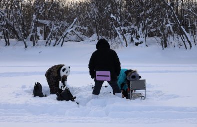 Фестиваль подледной рыбалки &laquo;Зубарь &ndash; 2026&raquo; успешно прошел в Елизовском районе на Камчатке 5