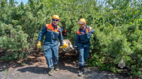 На Камчатке спасатели провели тренировку по поиску людей, заблудившихся в лесу 2
