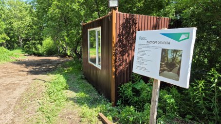 Стартовал первый этап благоустройства парковой зоны между двумя микрорайонами в Петропавловске-Камчатском 5