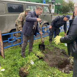 Акция «Сохраним лес» прошла в Усть-Камчатском округе Камчатского края 4