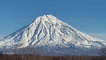 Новая ежемесячная выплата из средств регионального материнского капитала доступна на Камчатке