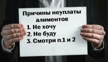 Уволился с работы, чтобы не платить алименты, житель Елизово на Камчатке