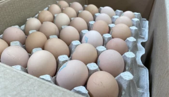 Финансирование из регионального бюджета выделят Усть-Большерецкому муниципальному округу на Камчатке Финансирование из регионального бюджета выделят Усть-Большерецкому муниципальному округу на Камчатке