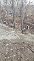 Очередной майский субботник прошел в Петропавловске-Камчатском 1