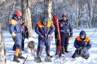 Камчатские спасатели тренировались искать людей в лавинах 2