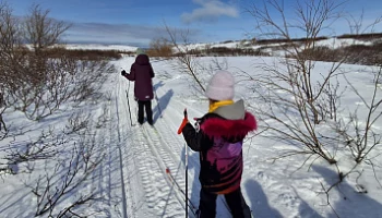Уникальный определитель следов диких животных готовят юннаты на Камчатке