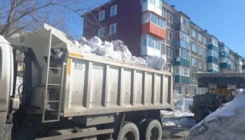 Сезонные работы по содержанию городских территорий проводят подрядные организации в столице Камчатки