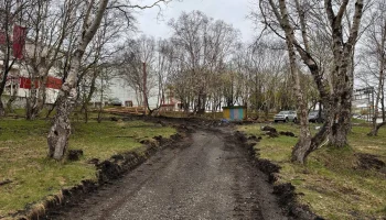 Начался первый этап благоустройства парка «Электрон» в столице Камчатки Начался первый этап благоустройства парка «Электрон» в столице Камчатки