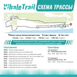 27 августа на Камчатке состоится экозабег «Whale Trail» 0