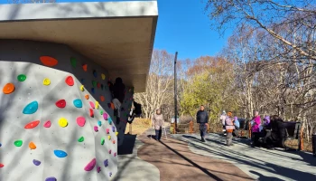 Имя для нового эко-парка выбирают жители Петропавловска-Камчатского