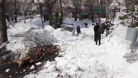 Первый весенний субботник прошёл в Петропавловске-Камчатском 4