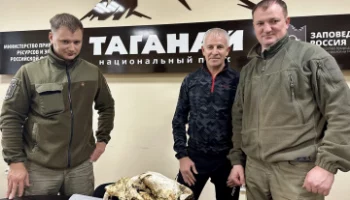 Уральский парк «Таганай» получил новый экспонат с Камчатки