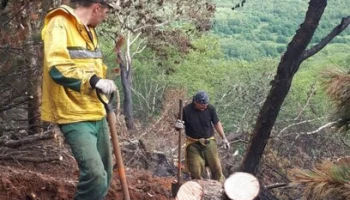 Сложный лесной пожар ликвидировали на Камчатке