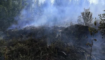 В поселке Тигиль установлен чрезвычайный уровень пожарной опасности