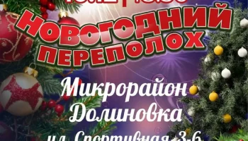 Открытие новогодней елки состоится сегодня в микрорайоне Долиновка Петропавловска-Камчатского