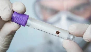 Сведения о вакцинации против клещевого энцефалита