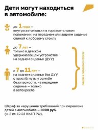 Как максимально обезопасить поездку с детьми на авто, рассказали на Камчатке 5