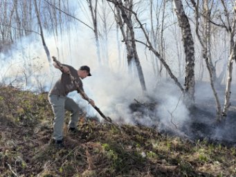 Сотрудники Кроноцкого заповедника помогли ликвидировать пожар в Елизово на Камчатке 6