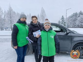 Экологическая акция «Ёлочка живи!» прошла в Мильковском лесничестве на Камчатке 0