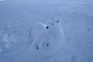 Кроноцкий заповедник запустил конкурс снежных скульптур &laquo;Обитатели заповедной Камчатки&raquo;
